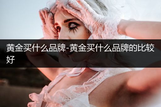 黄金买什么品牌-黄金买什么品牌的比较好