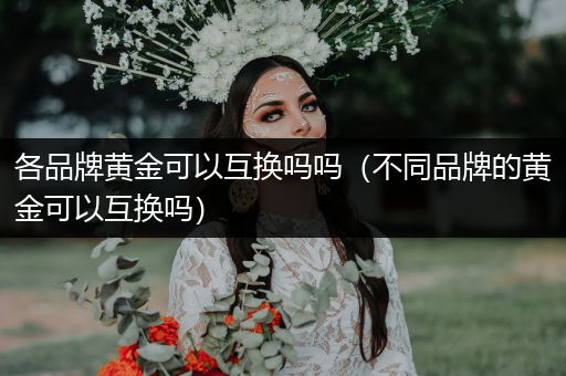 各品牌黄金可以互换吗吗（不同品牌的黄金可以互换吗）