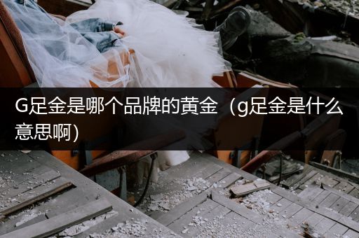 G足金是哪个品牌的黄金（g足金是什么意思啊）